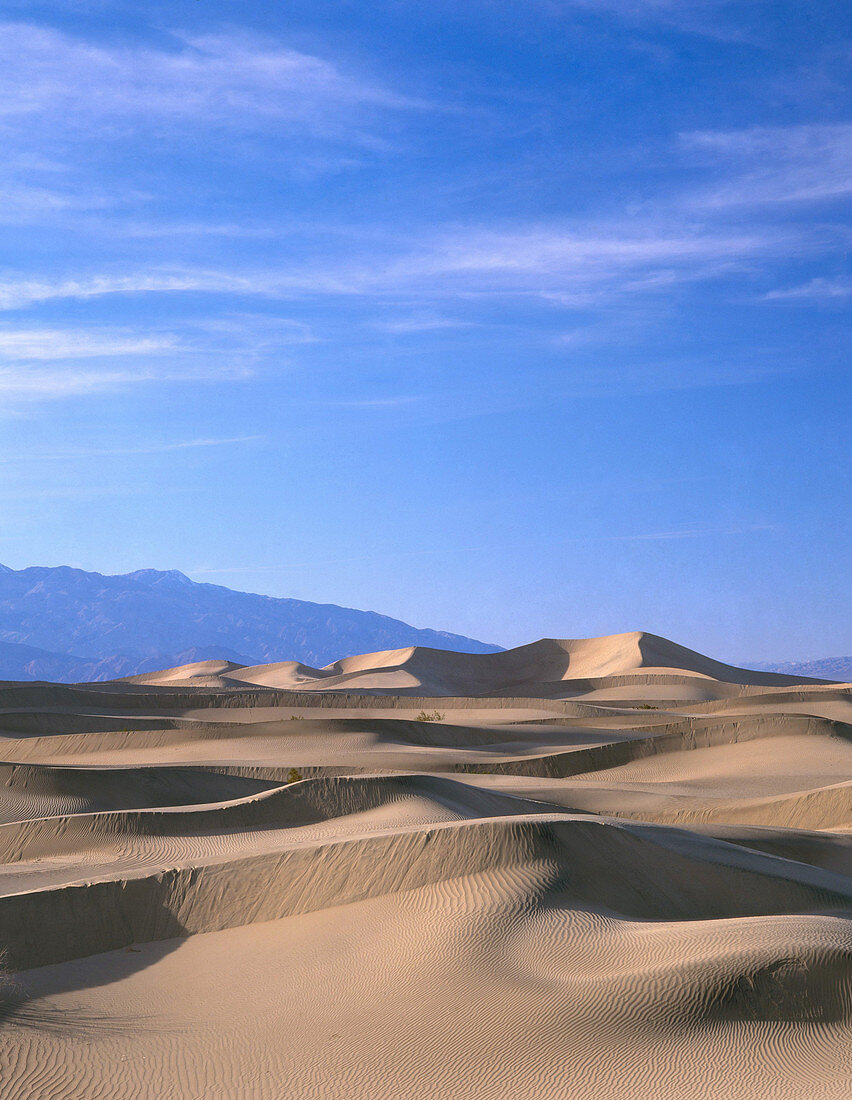 Mesquite Dunes,Death Valley