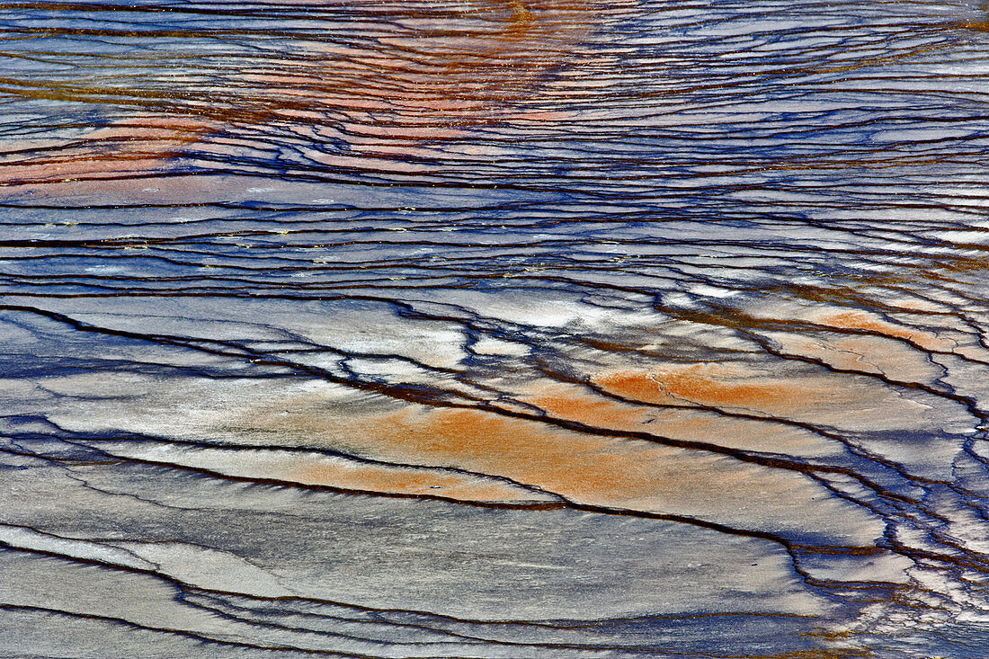 Bacterial Mat,Yellowstone National Park