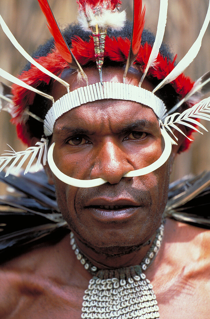 Man of the Dani tribe. Irian Jaya,Indone