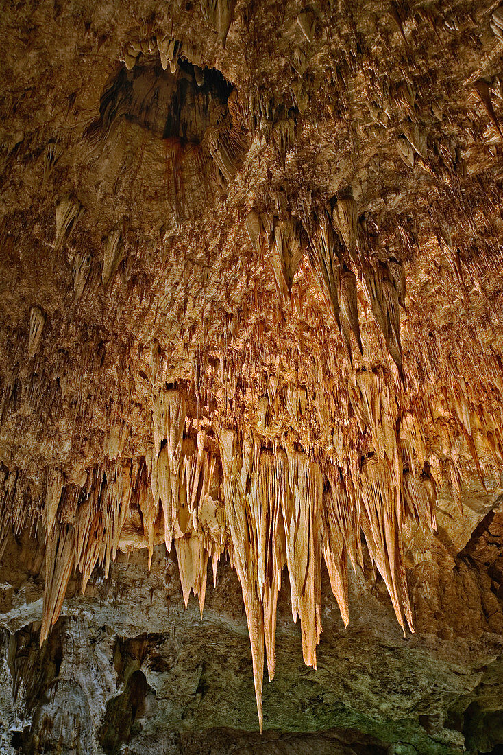 Stalactite Chandelier; Carlsbad Caver