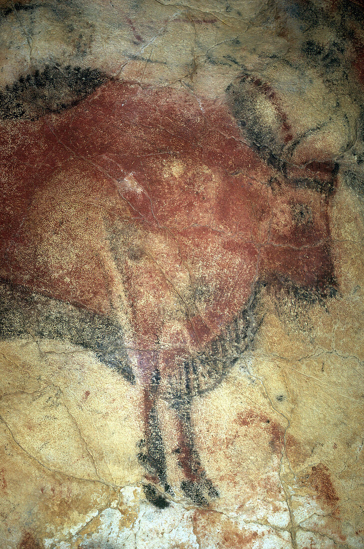 Cave Painting,Altamira,Spain