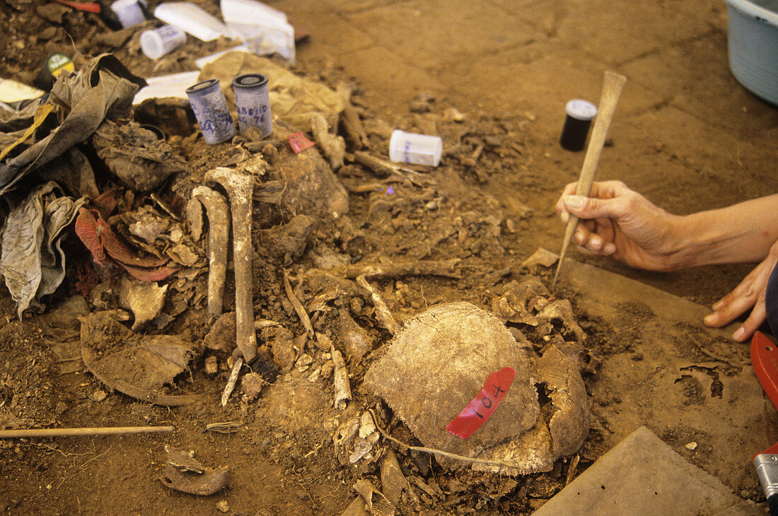 Excavation at Massacre Site,El Salvador