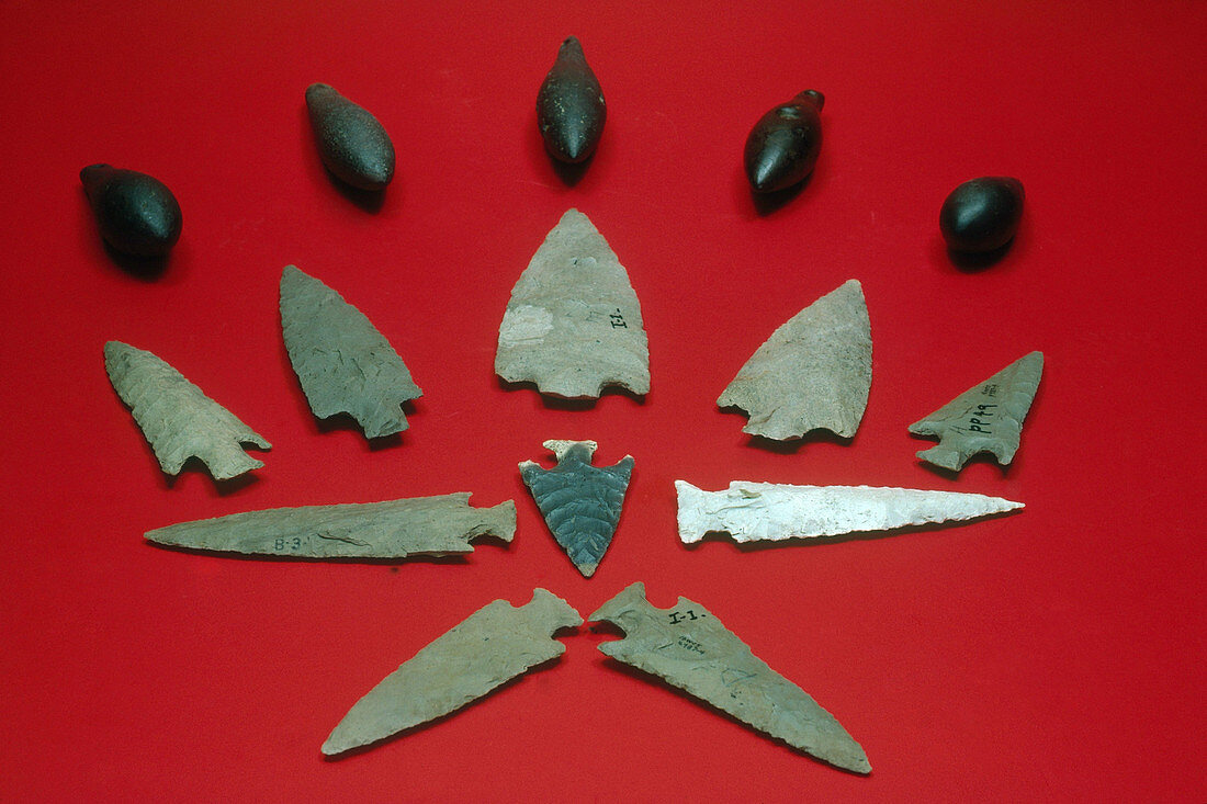 Projectile Points