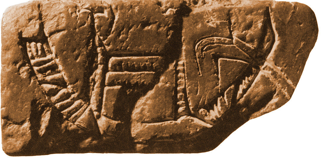 Riverboat on Ancient Seal