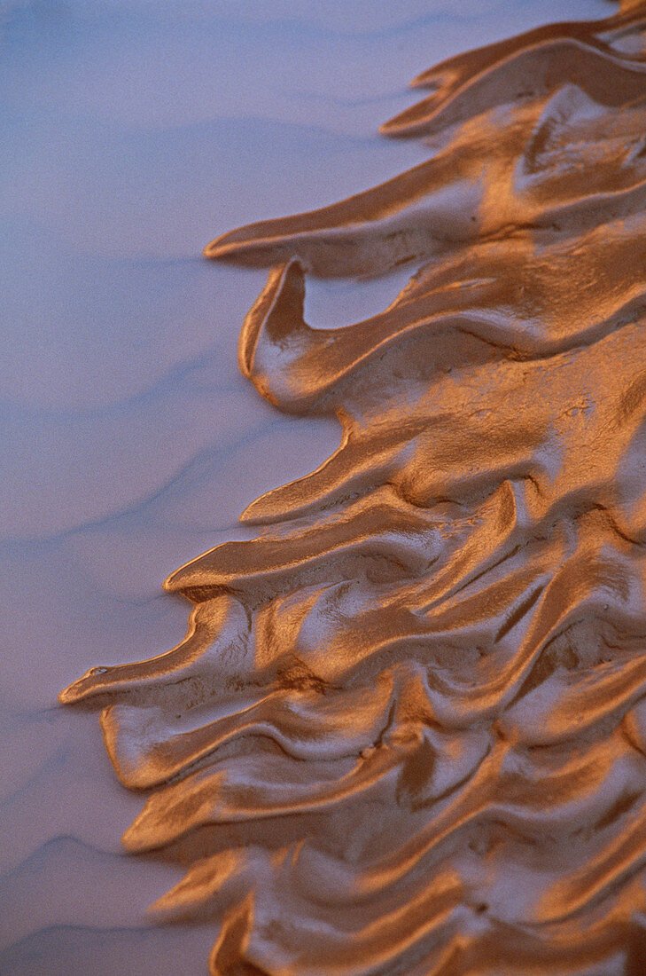 Mud Patterns