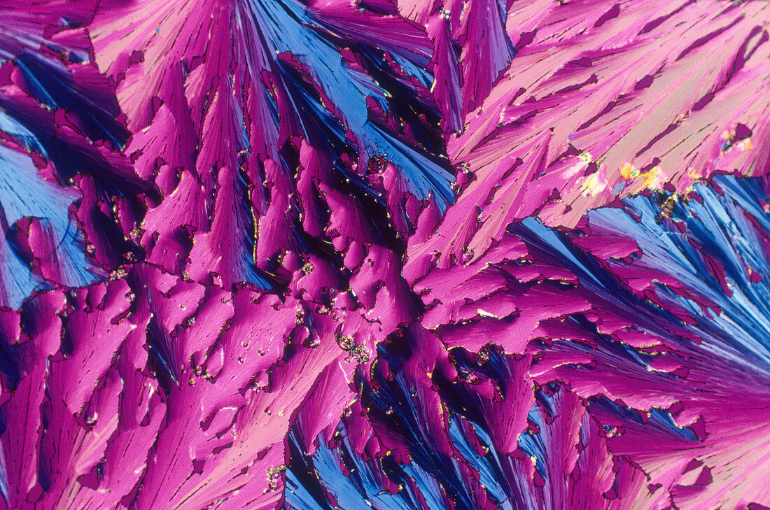 Pangamic Acid Crystal