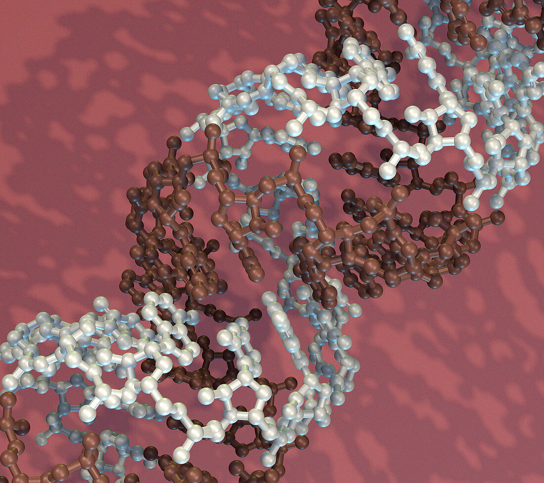 RNA