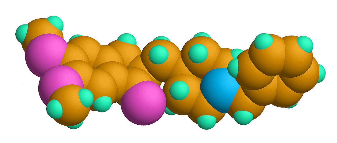 Donepezil Molecular Model