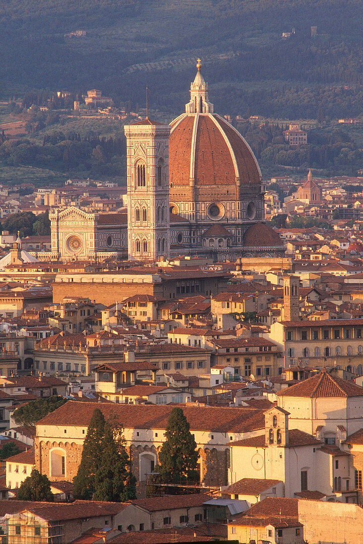 City of Florence,Italy