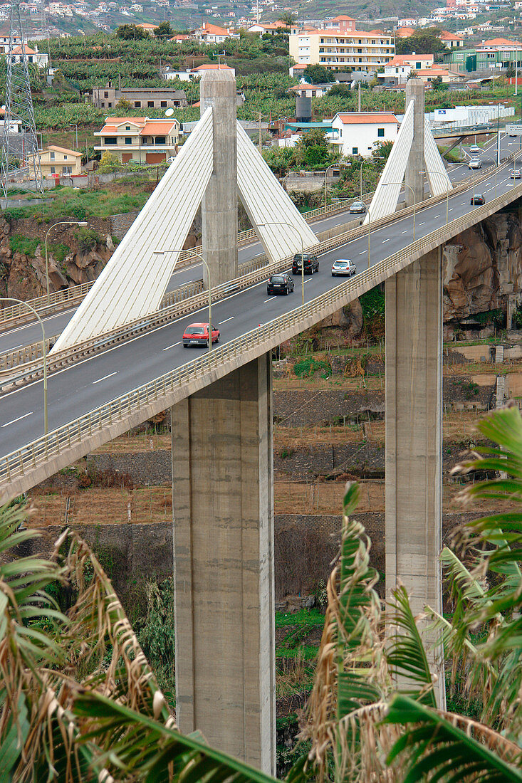 Bridge,Madeira