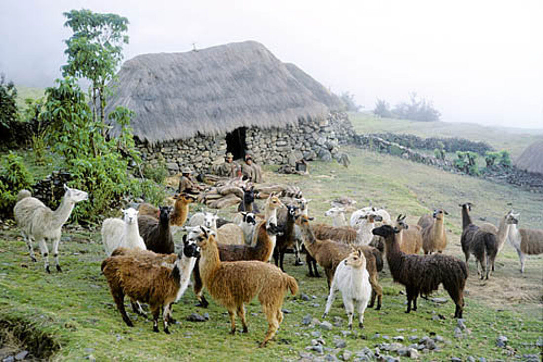 Q'ero Indians,Peru