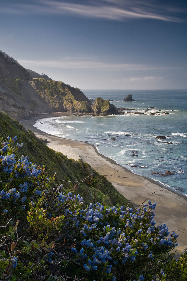 Northern California Coast