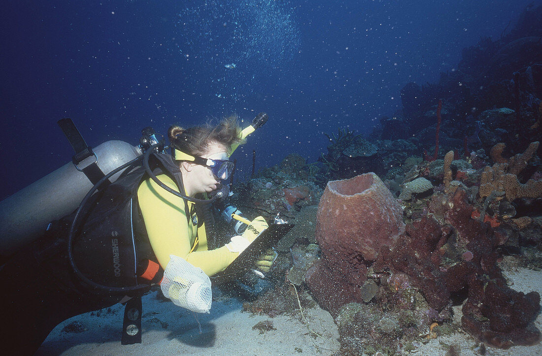Collecting Data Underwater