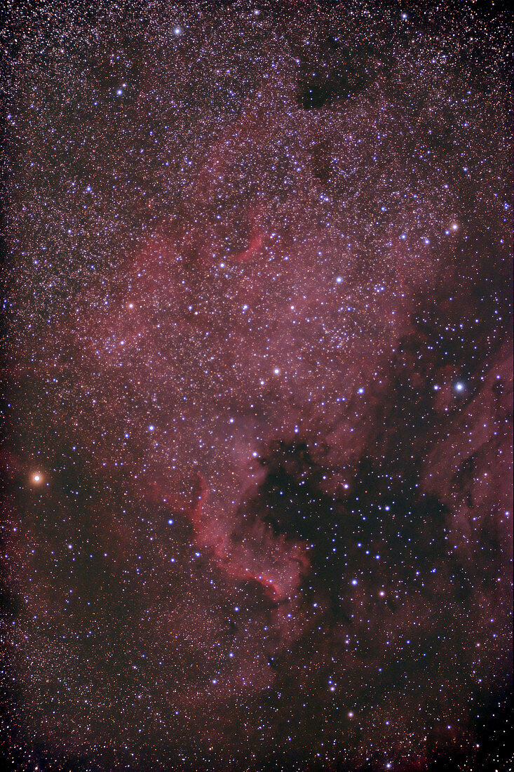 NGC 7000,The North America Nebula