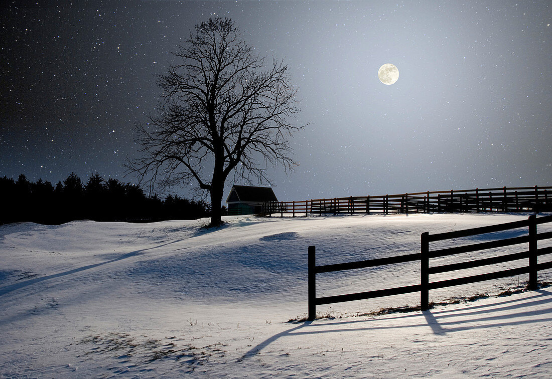 Winter Full Moon