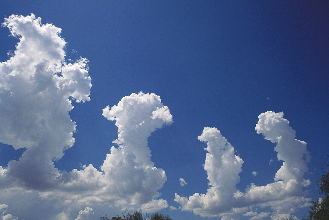 Cumulus Castellanus