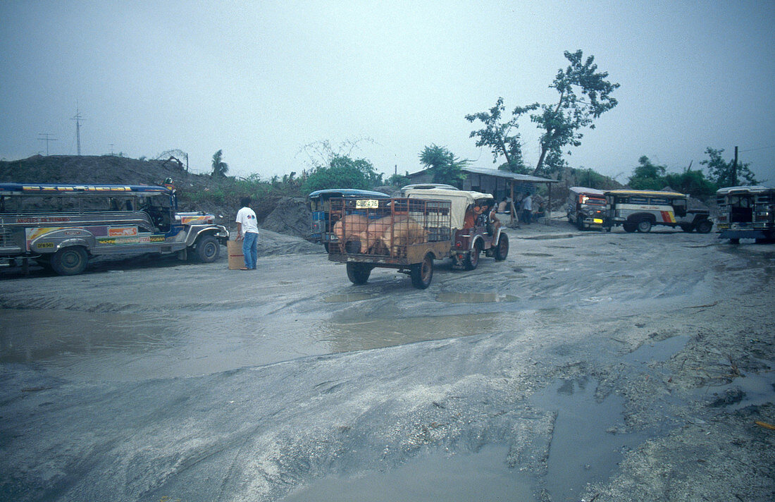 Mount Pinatubo evacuation
