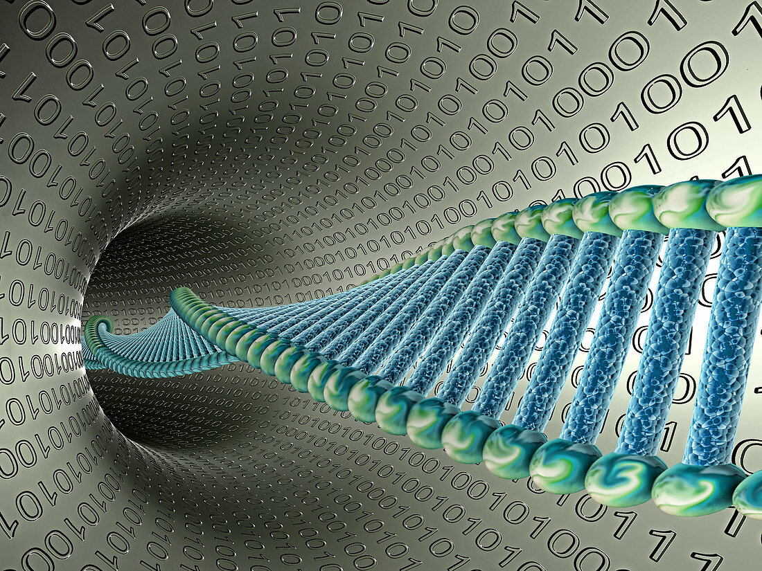 Digitalizing DNA