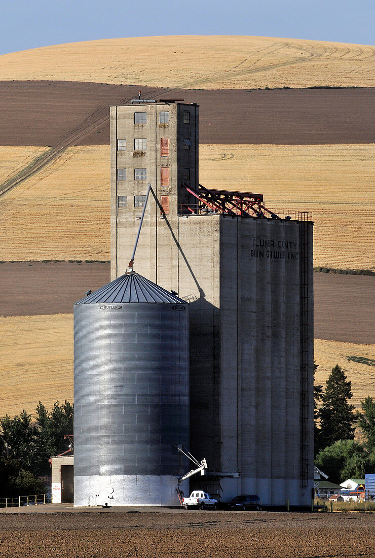 Grain Growers Elevator and Silo