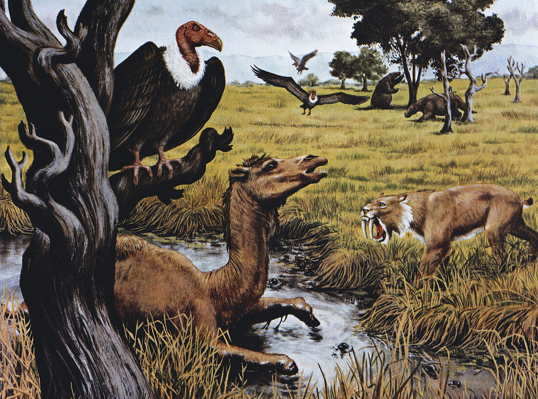 La Brea Tar Pit Scene