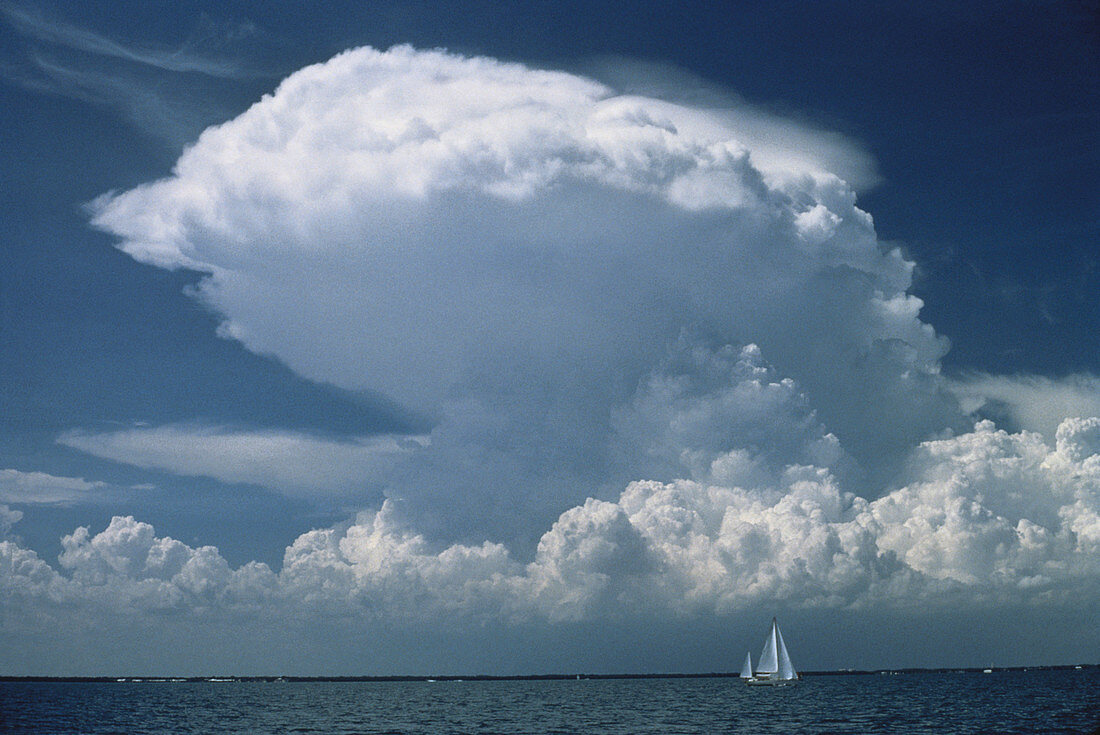 Cumulonimbus Cloud