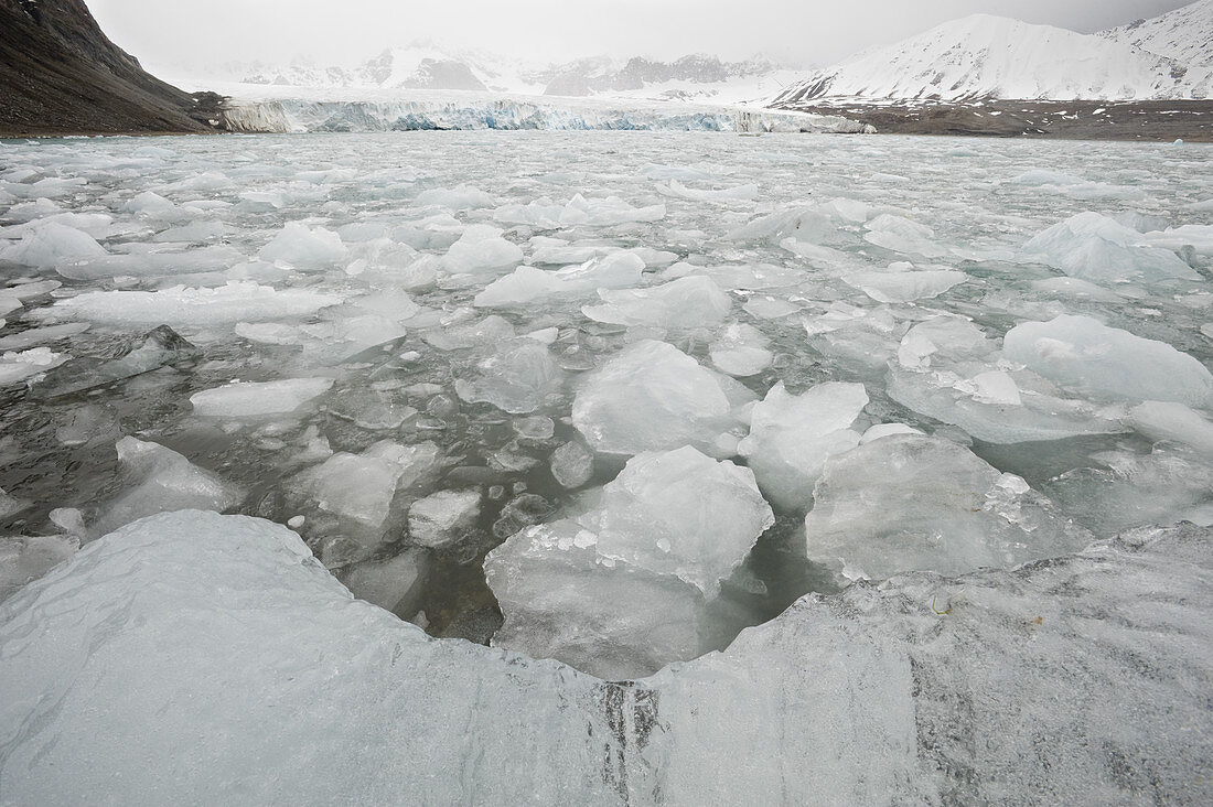 Ice floes and stormy sky,Spitsbergen