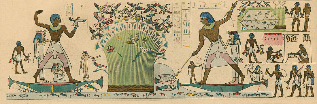 Ancient Egyptians hunting birds