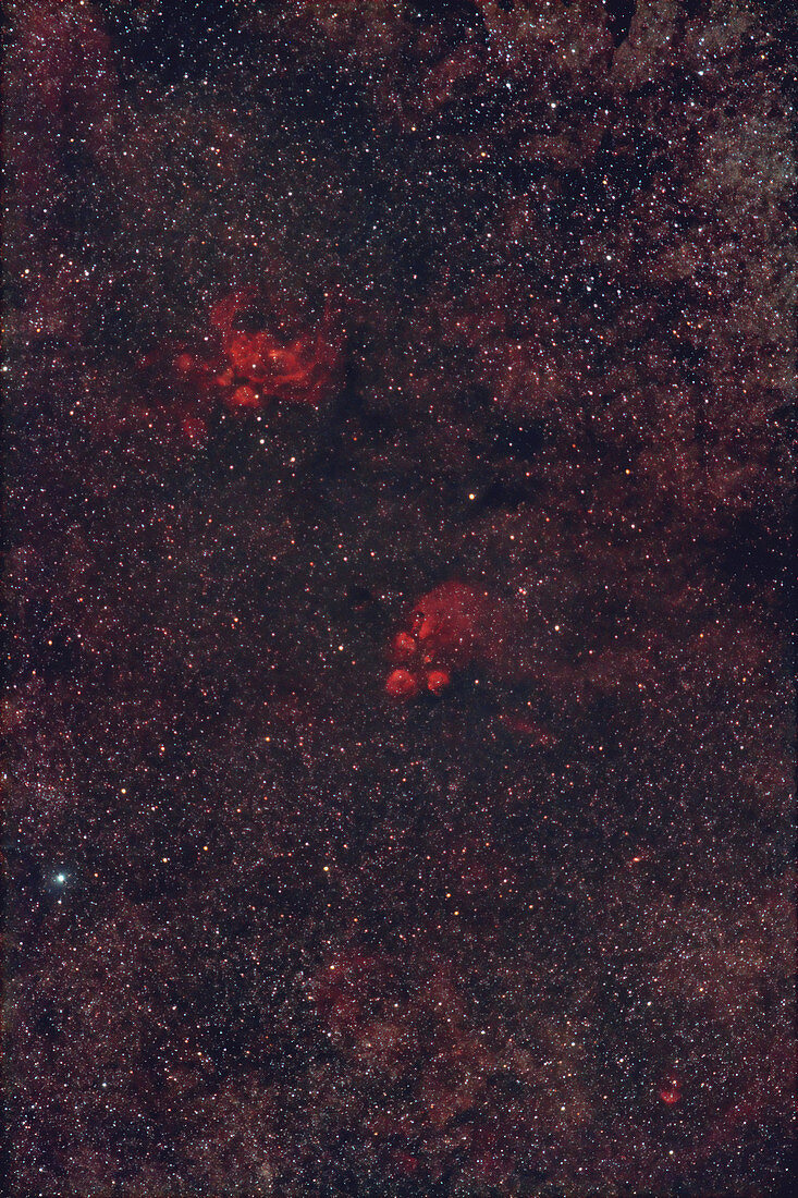 NGC 6357,NGC 6334,NGC 6302