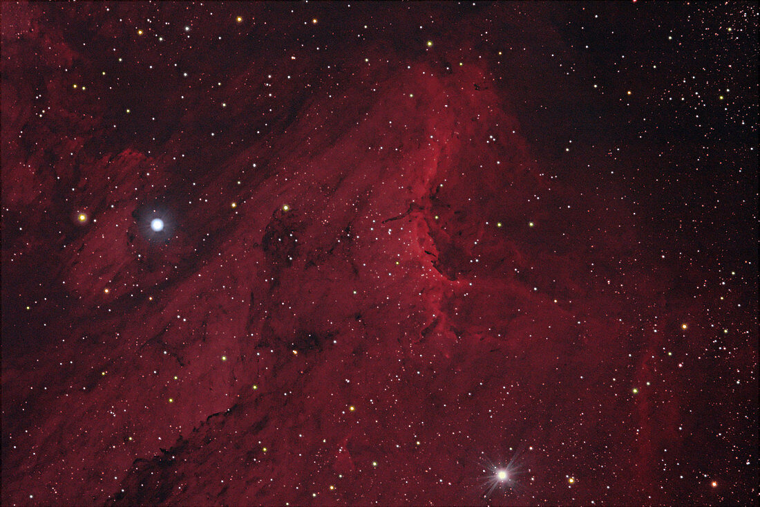 IC 5070,The Pelican Nebula