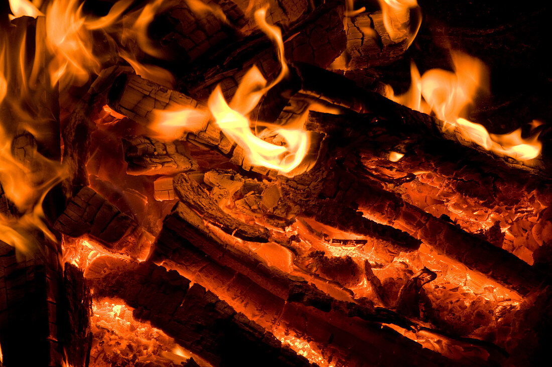 Logs Burning