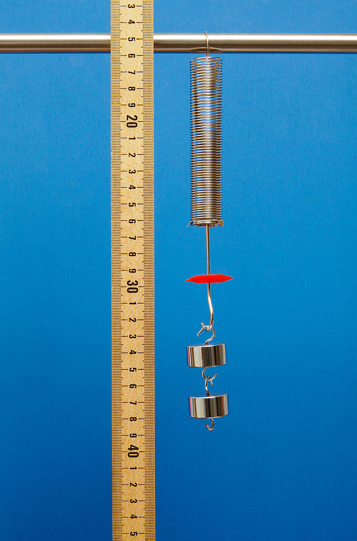 Hooke's Law