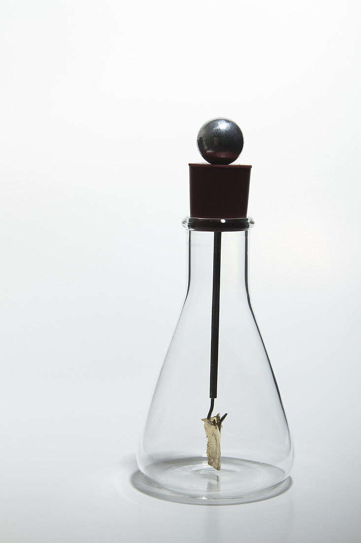 Gold leaf electroscope