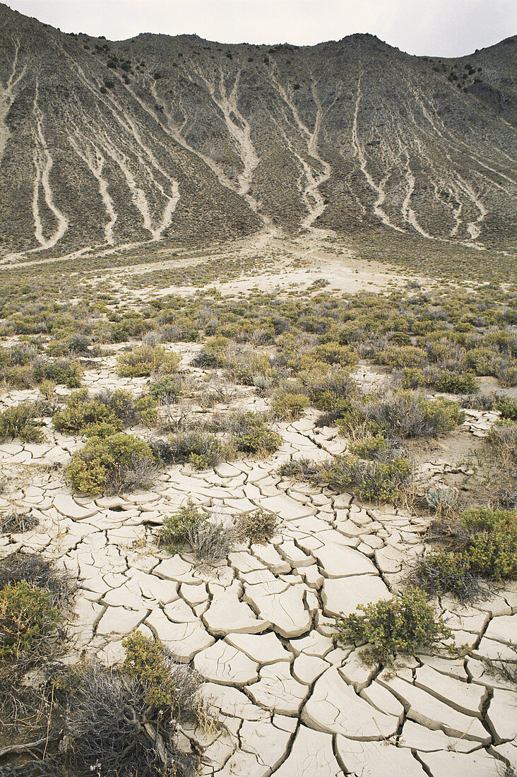 Desert Erosion