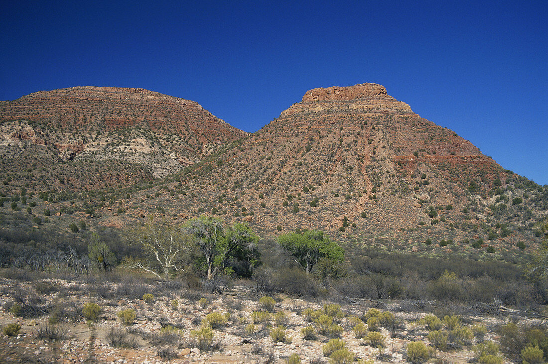 Verde River Valley,Arizona,USA