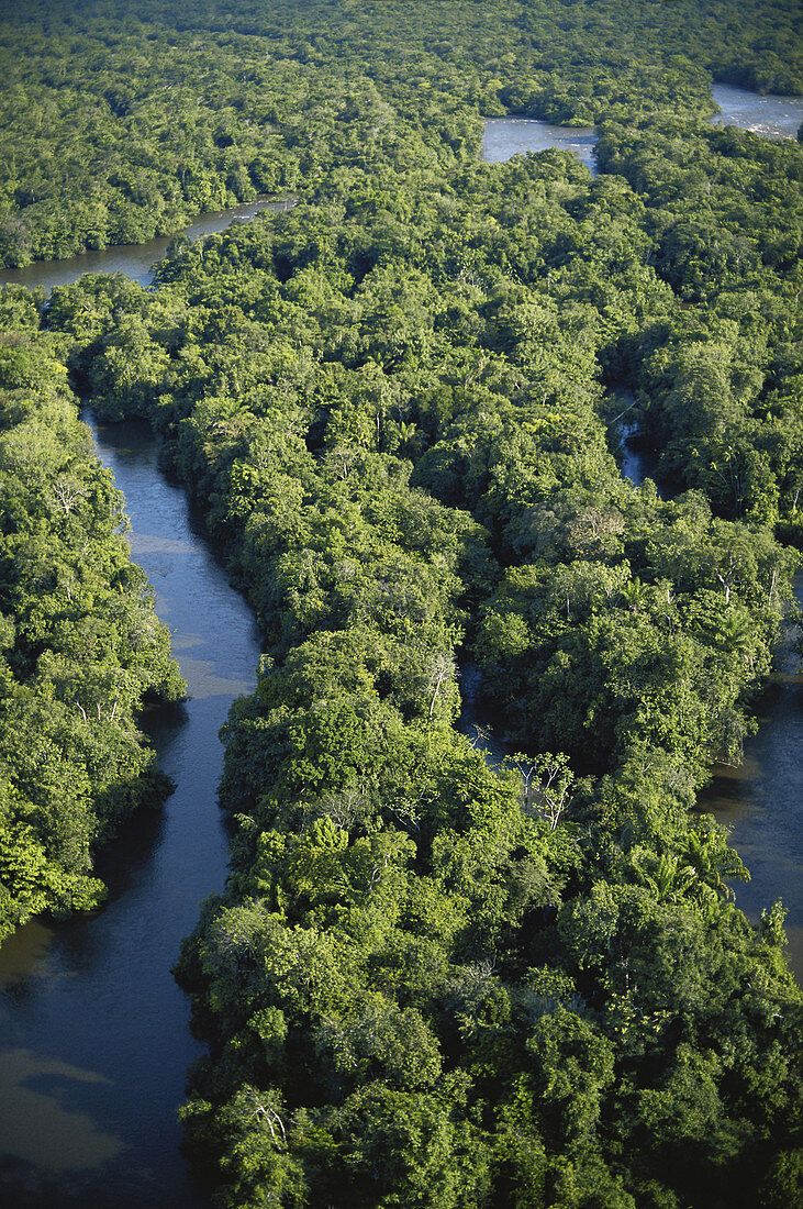 Jari River,Brazil