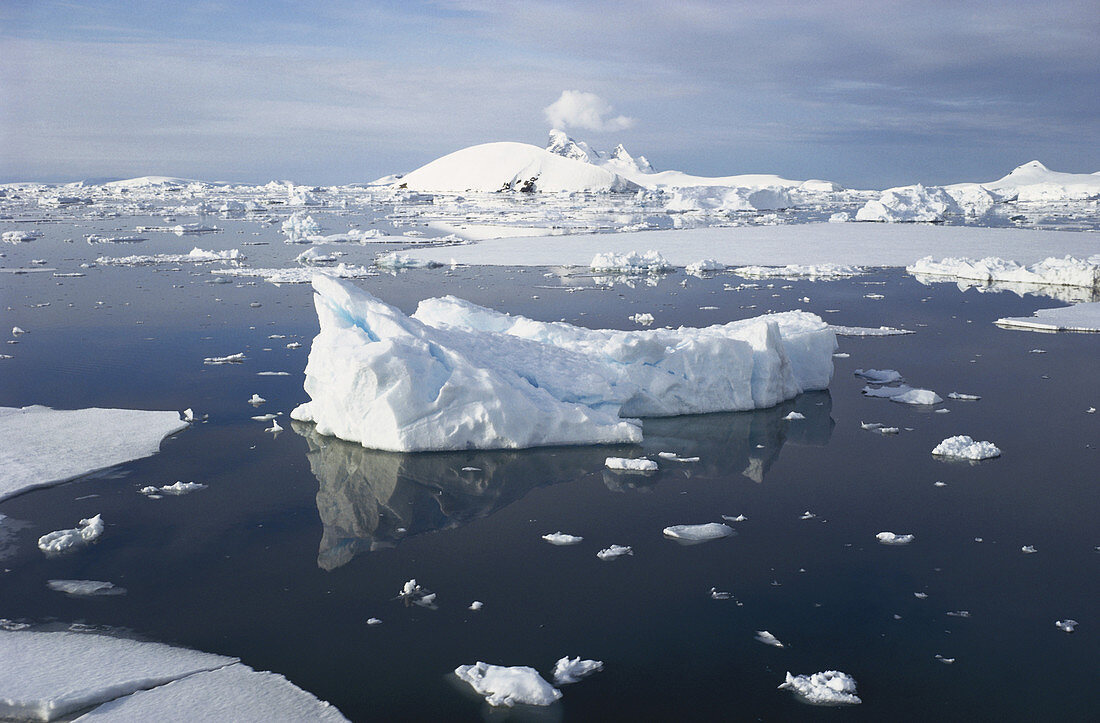 Ice in Antarctic Seas