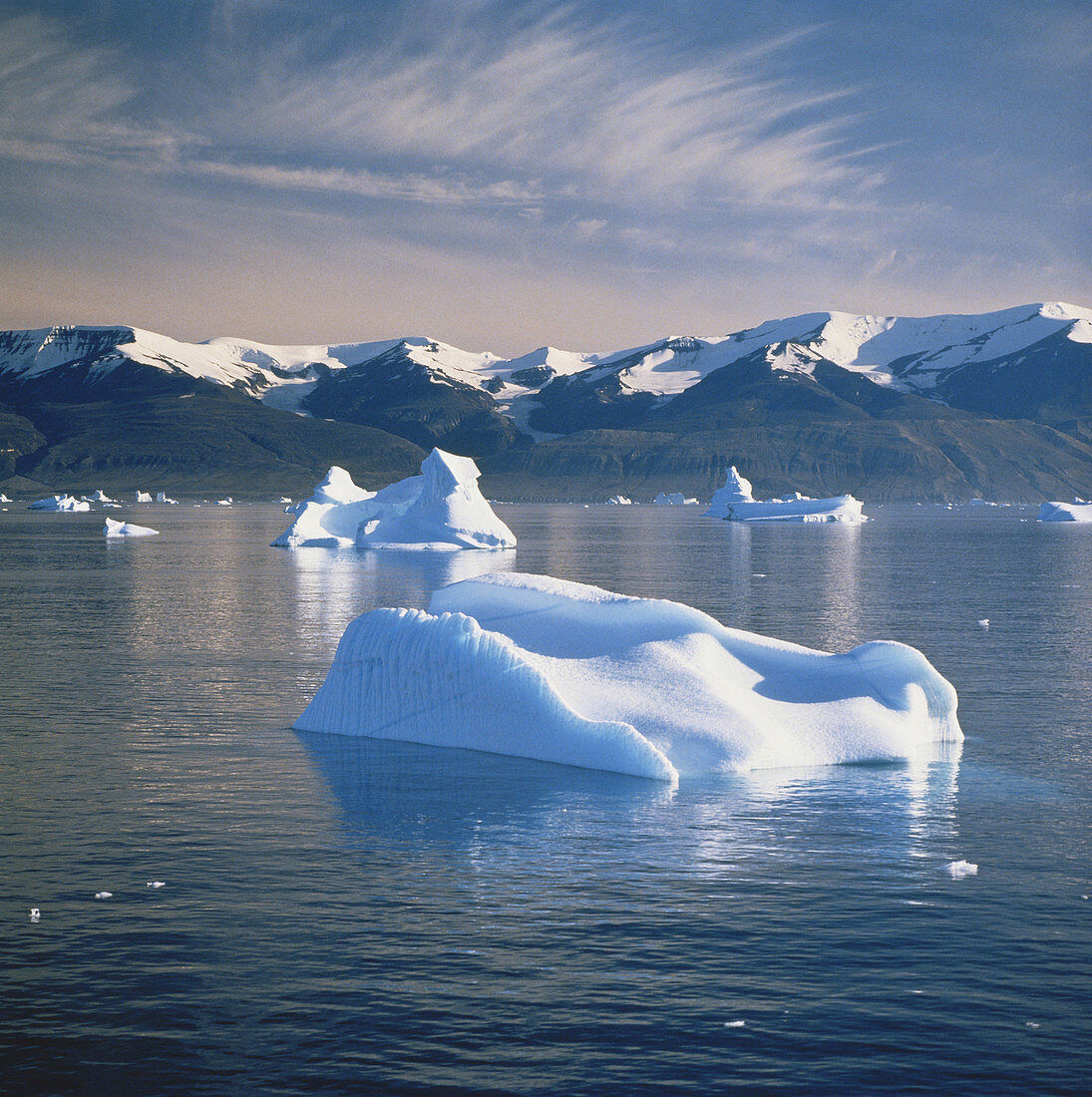 Floating Icebergs,Greenland