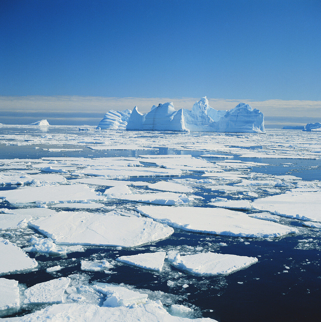 Icebergs and Pack Ice,Antarctica