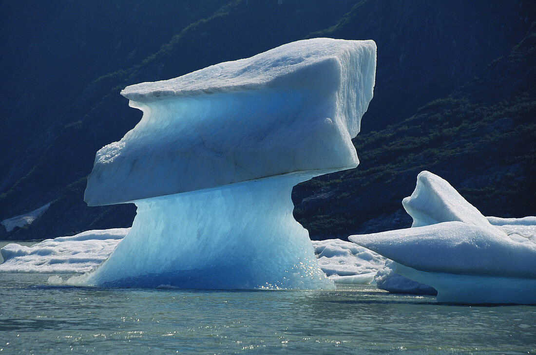 Icebergs in Shakes Lake,Alaska,USA
