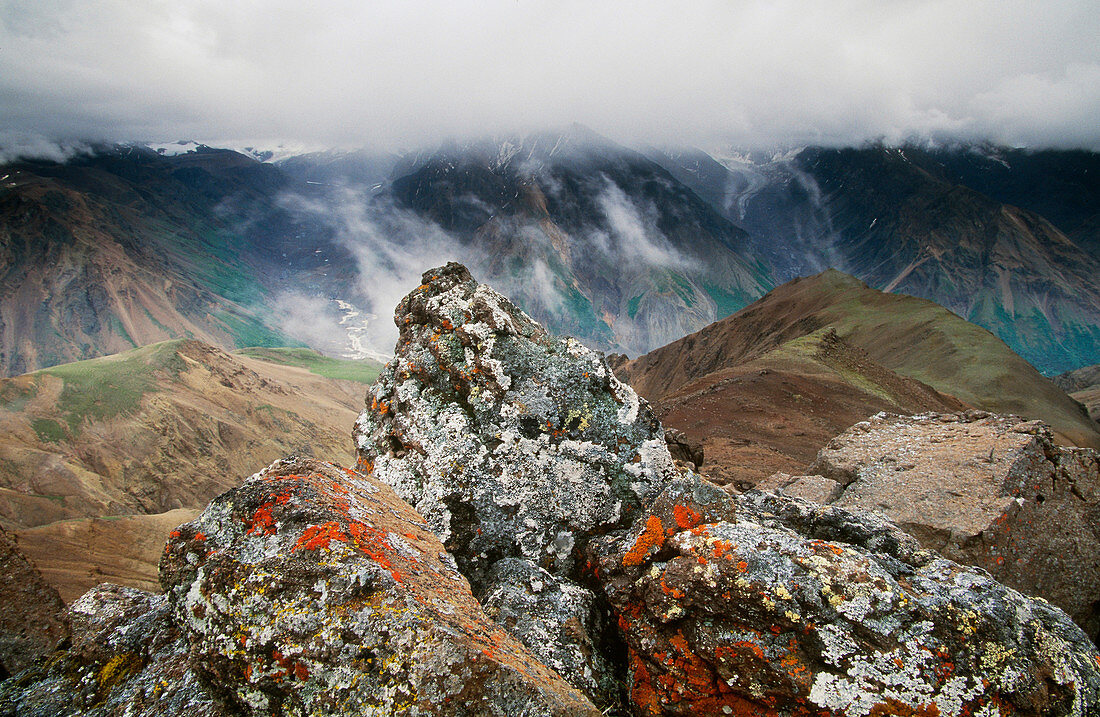 Lichen rocks,Alaska