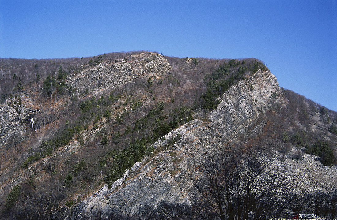 Monoclinal Ridge on Mt. Tammany