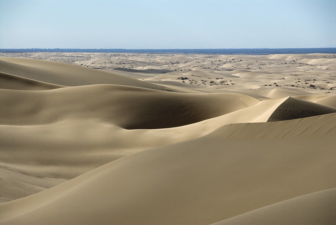 Imperial Sand Dunes