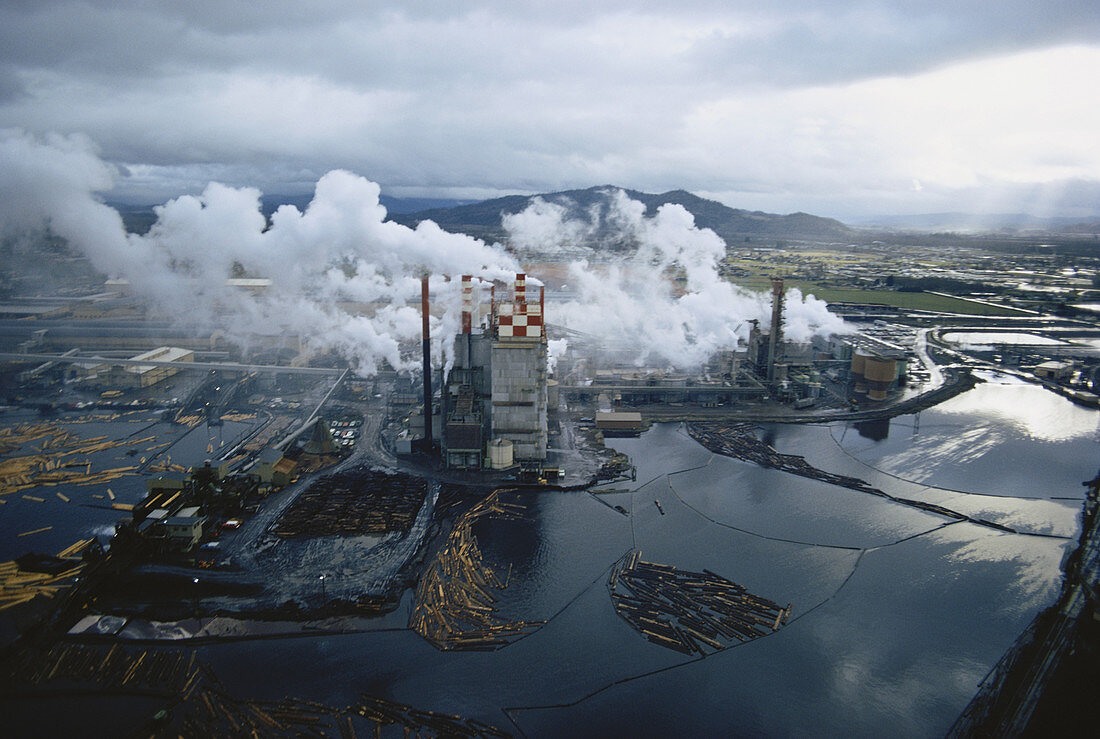 Paper Mill Air Pollution