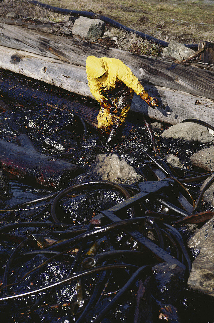 Oil Spill Cleanup