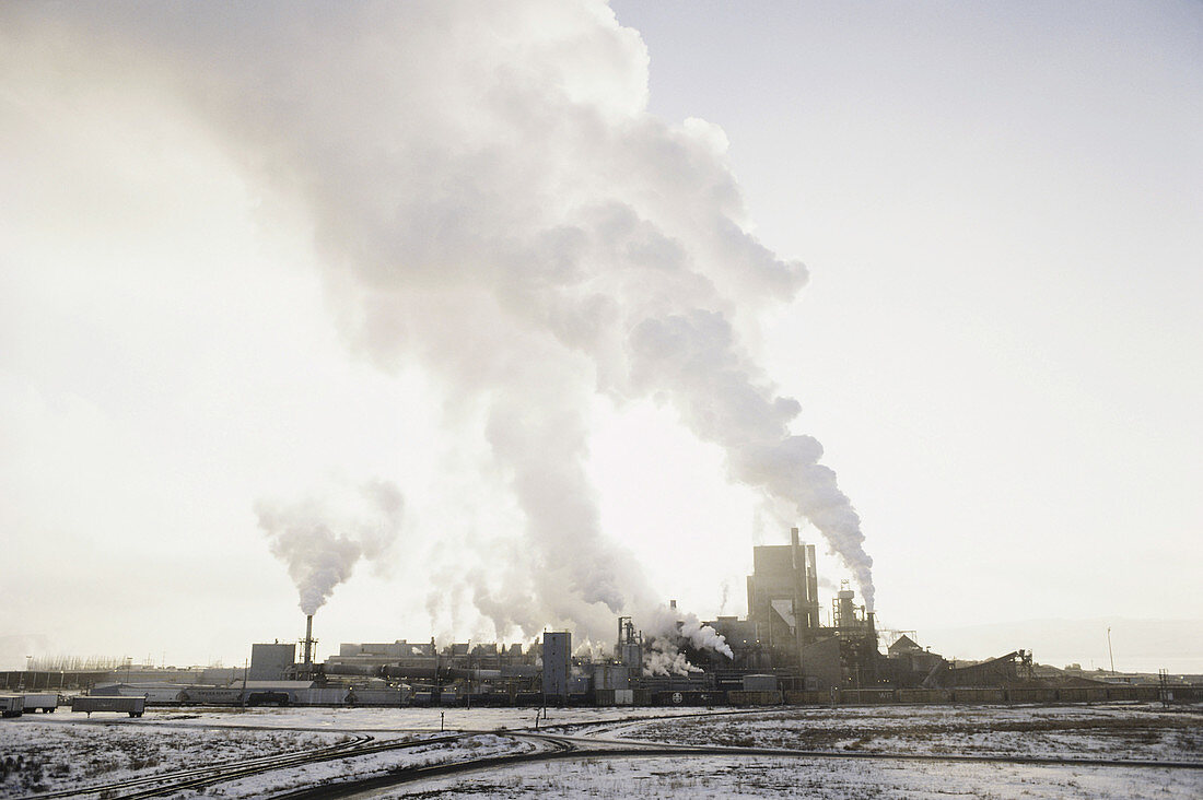 Boise Cascade Paper Mill