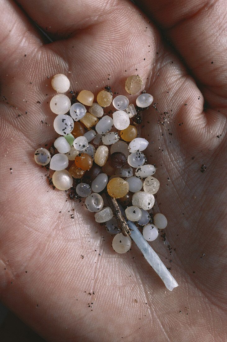 Plastic Particles Collected from Beach
