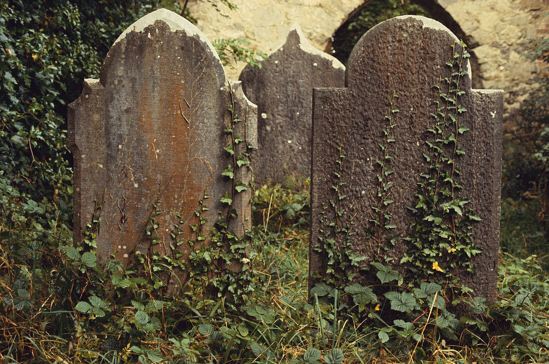 Old Tombstones,Ireland