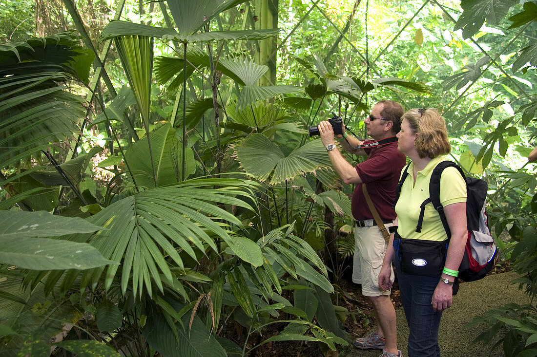 Tourists in Veragua Rainforest Costa Rica