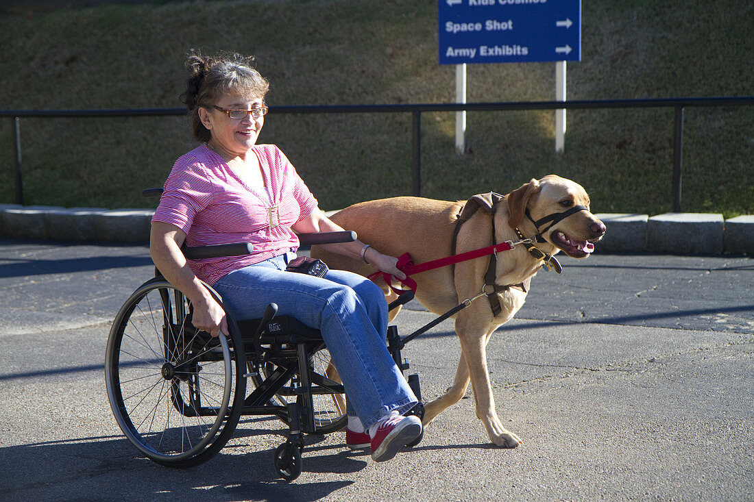 Disabled Woman with Service Dog