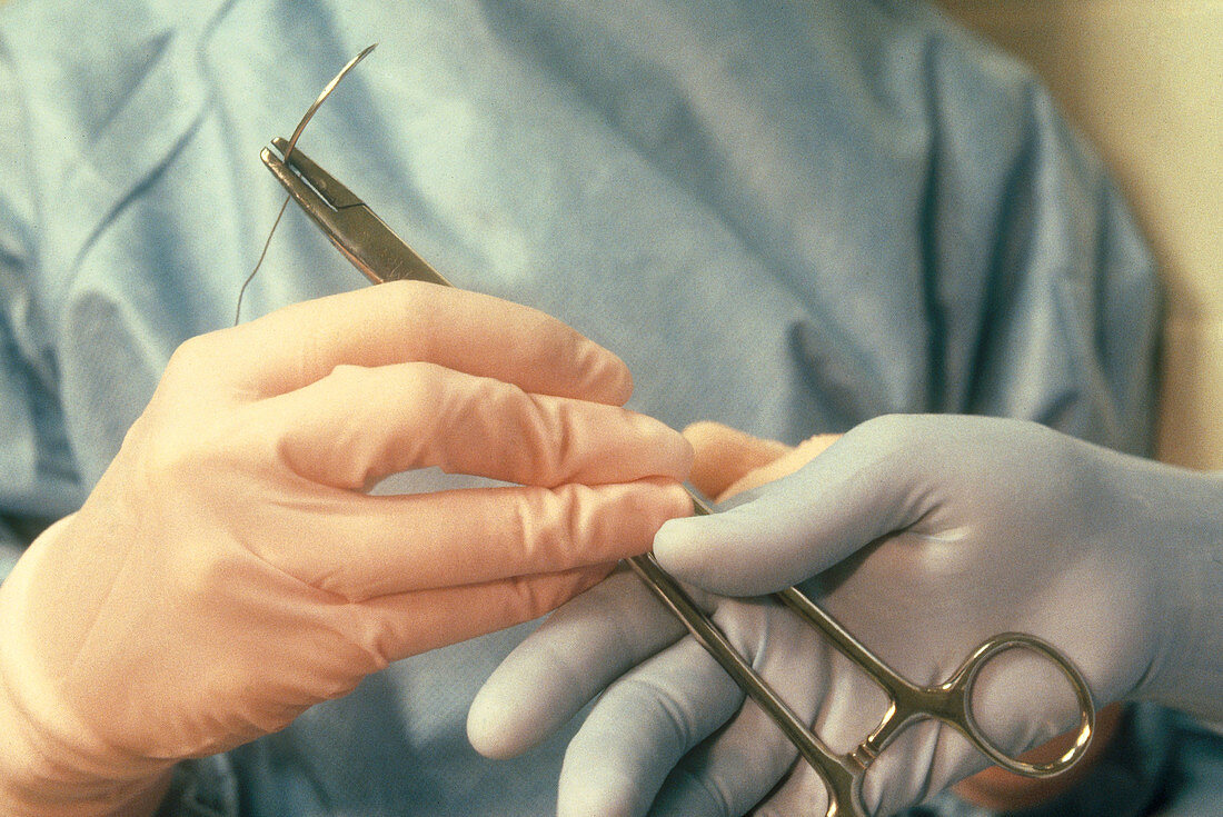 Nurse Hands off Curved Suture Needle